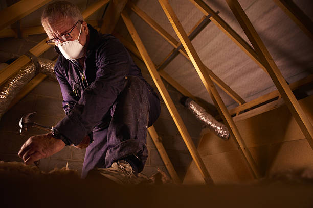 Best Types of Insulation in Port Arthur, TX